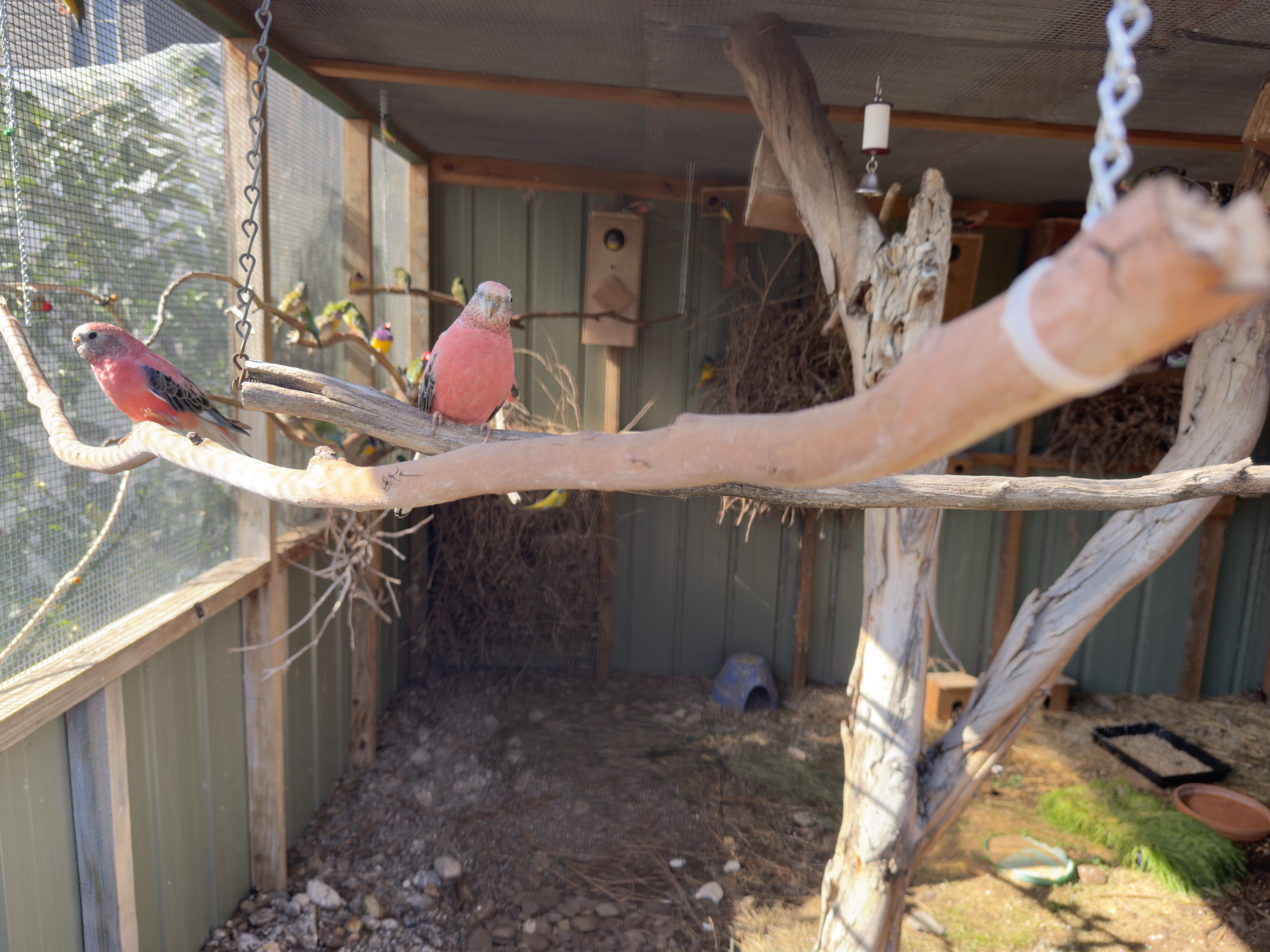 /uploaded_files/media/gallery/1775092491IMG_8574 2.jpeg